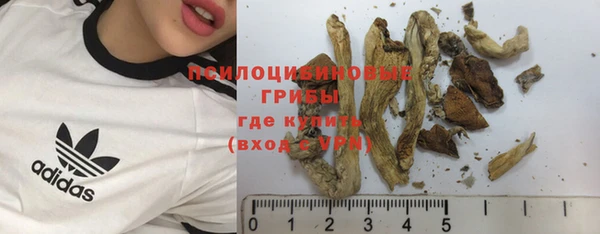 соль ск Аркадак