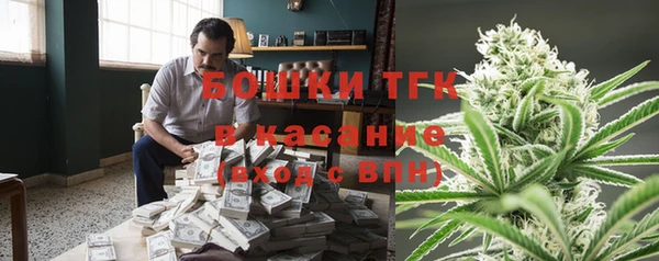 шишки Армянск