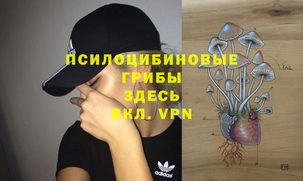 шишки Армянск